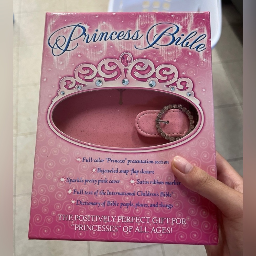 International Children’s Version Princess Bible